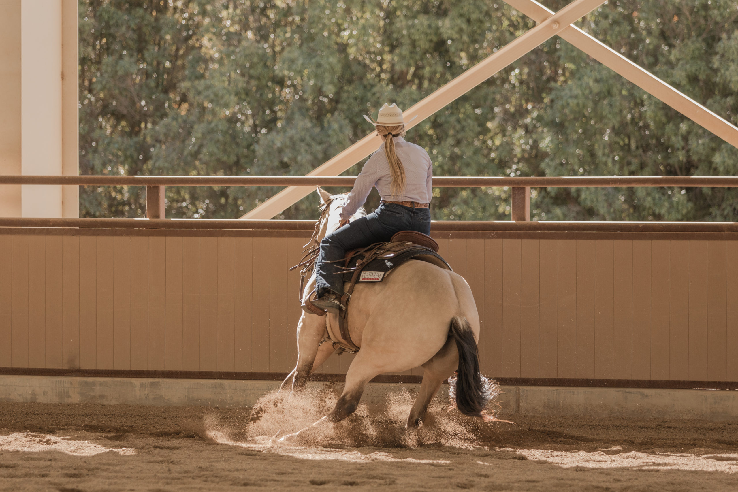 Cal Poly Performance Horse Sale 2021 »